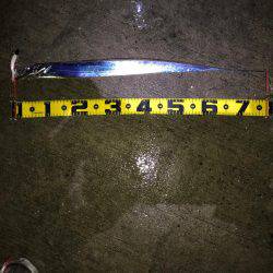 ドラゴンを求めて!!